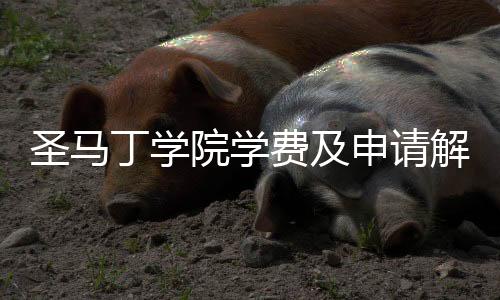 圣马丁学院学费及申请解析
