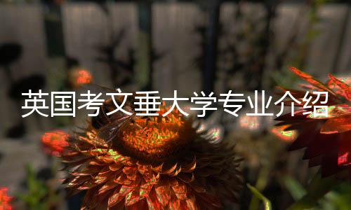 英国考文垂大学专业介绍，你会选择哪个？