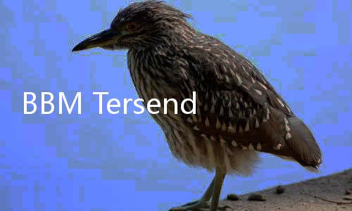 BBM Tersendat, Ekspor Terganggu: Pendangkalan Pulau Baai Tuai Protes