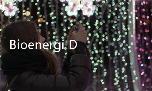 Bioenergi Diakselerasi, Pemerintah Optimalkan Sampah Jadi Listrik di RUPTL